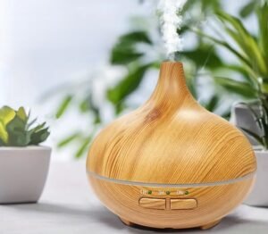 Ultrasonic Essential Oil Diffuser