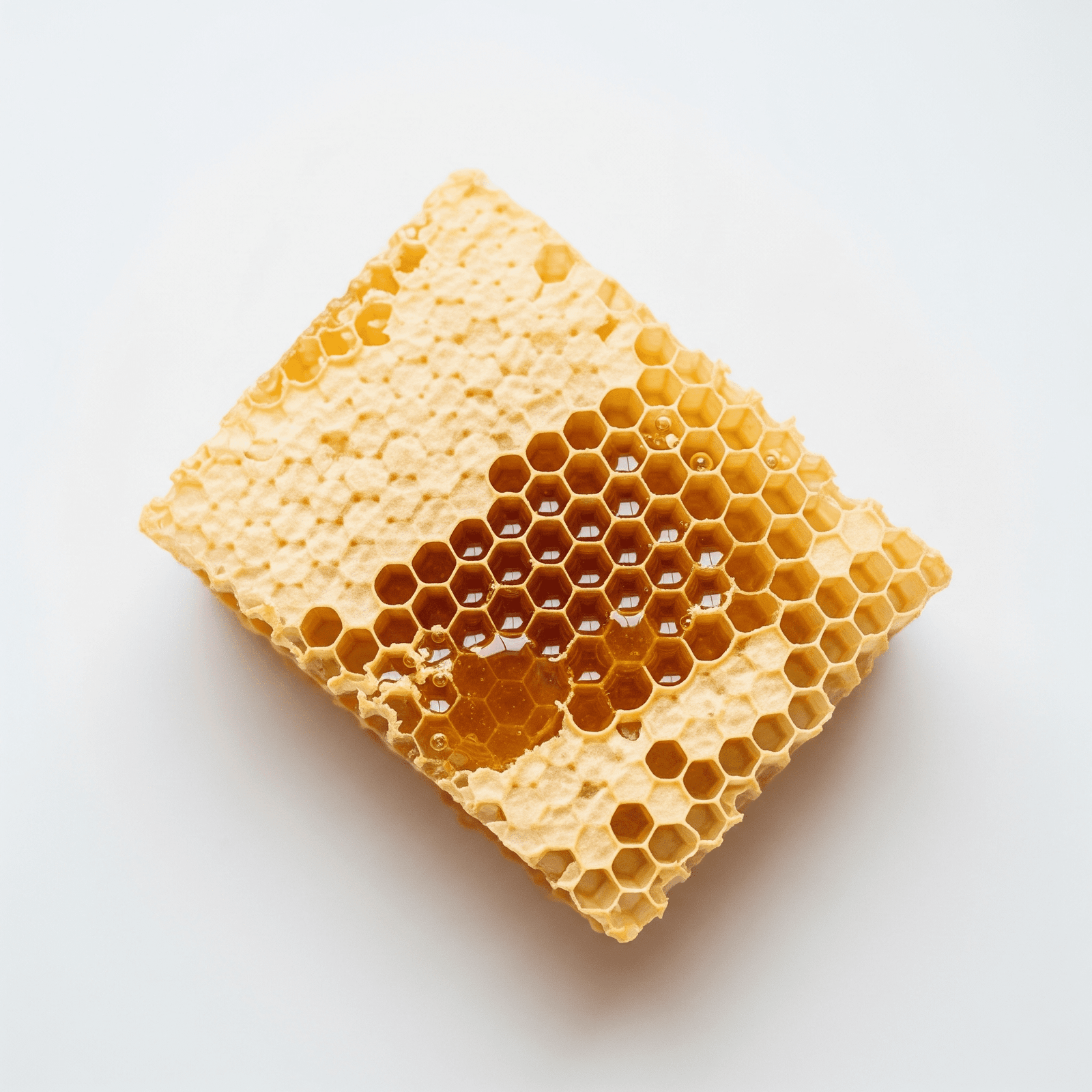Beeswax honeycomb